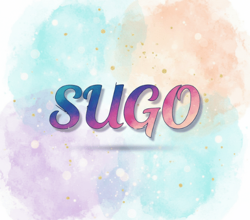 【体験談】30代・未経験からSUGOアプリで収入が安定